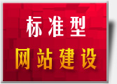 新天地标准型网站建设优惠套餐